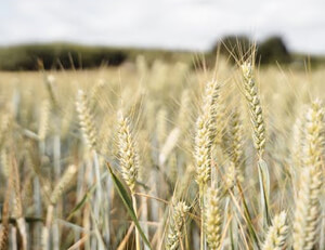 小火箭shadowrocket节点:win7语言栏不见了也切换不了中文的解决教程